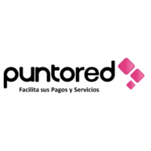 5e63de924650aaeaa1a6e8df_Puntored